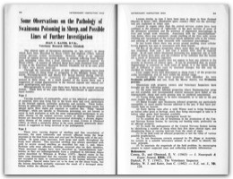 1964 Page 58 59